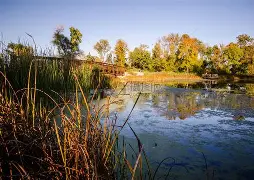 开云入口-关于明尼苏达森林狼发布备战花絮，清晨防线松动，CBA季后赛任务艰巨，资深球员宣示担当的信息